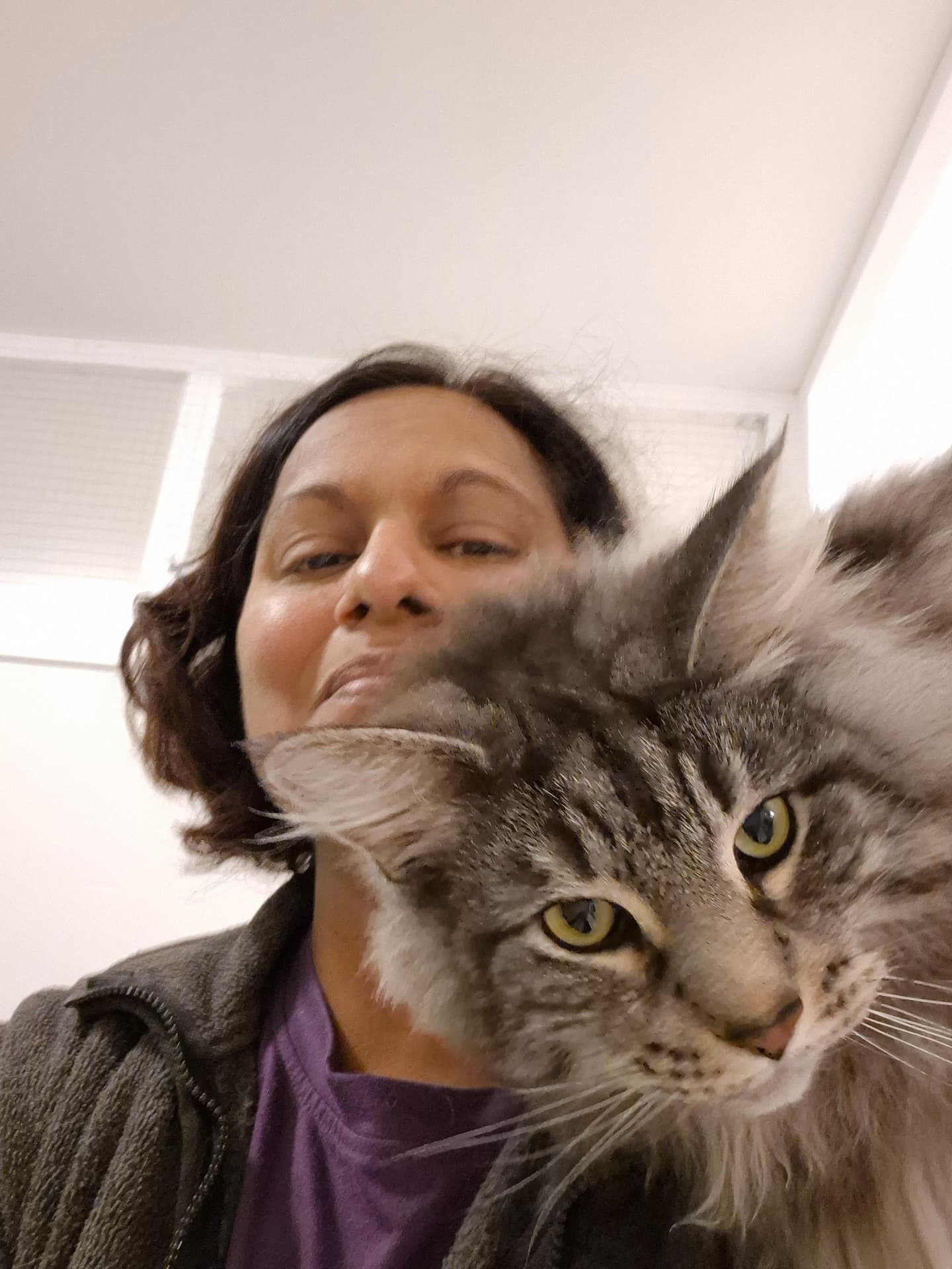 Zusanne tillsammans med en katt på Tigerns Katthotell